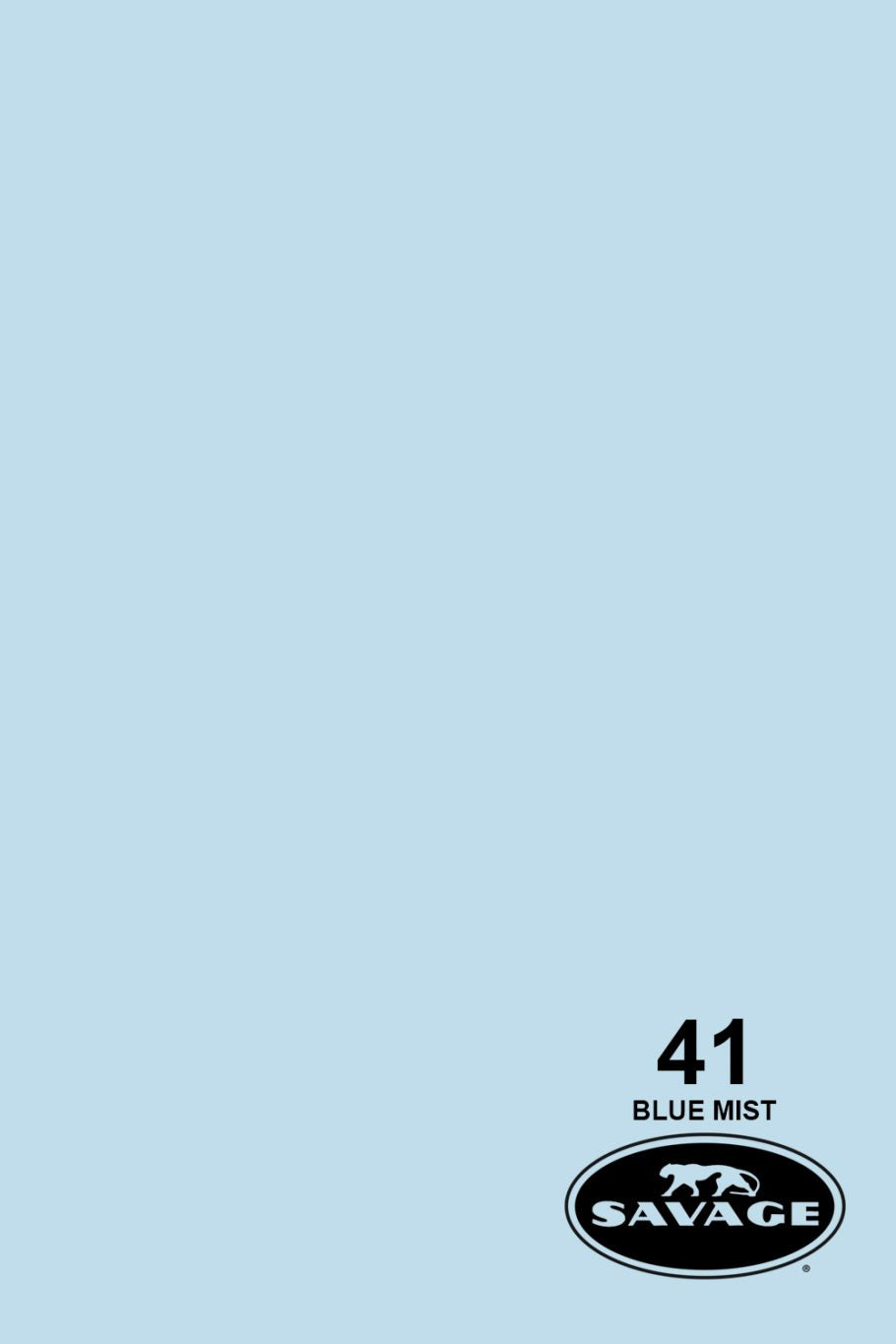 Savage Widetone Seamless Background Paper, 53" x 36'