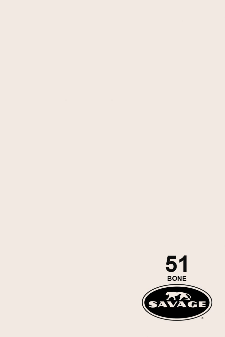 Savage Widetone Seamless Background Paper, 53" x 36'