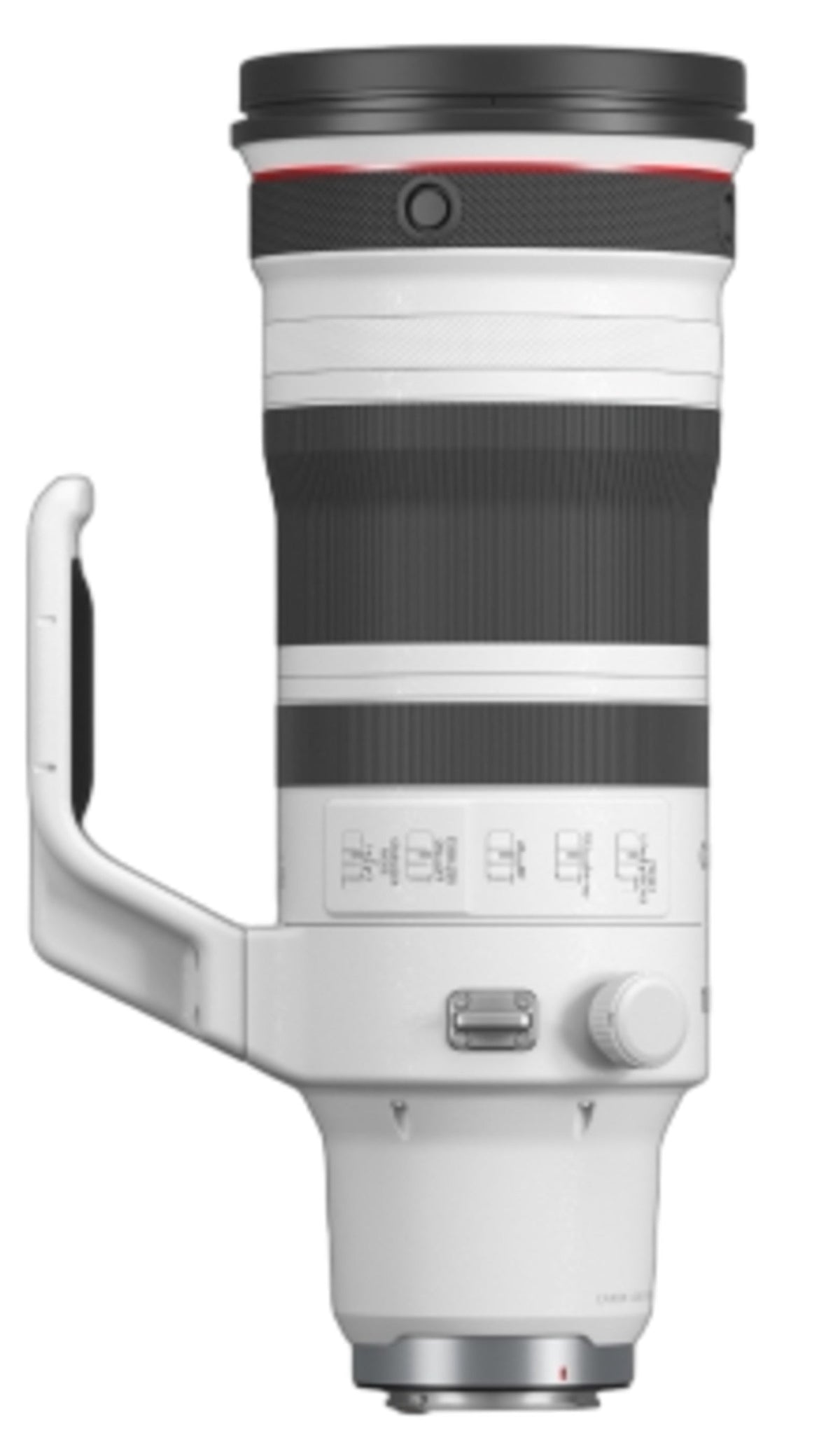 Canon RF 100-300mm f/2.8 L IS USM Lens