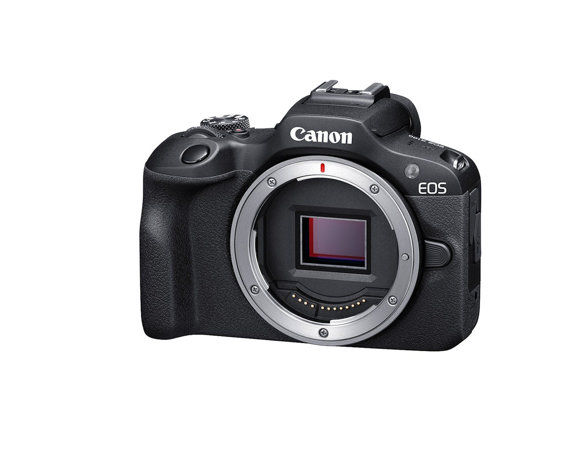 Canon EOS R100 Mirrorless Camera with 18-45mm f/4.5-6.3 and 75-300mm f/4-5.6 Lenses
