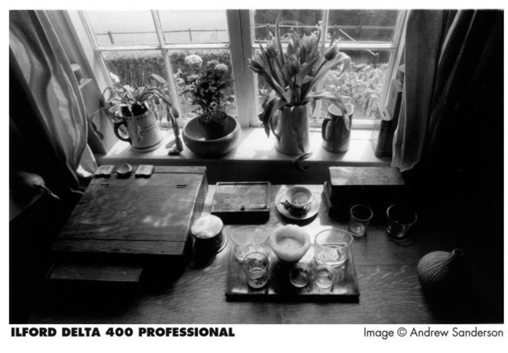 Ilford Delta 400, 120Roll
