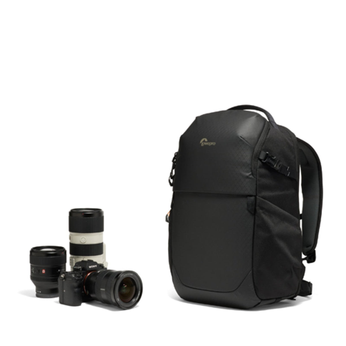 Lowepro Fastpack BP 250 AW IV