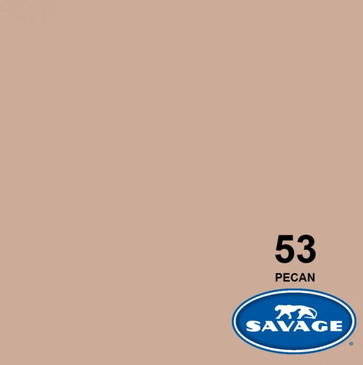 Savage Widetone Seamless Background Paper, 86" x 36'