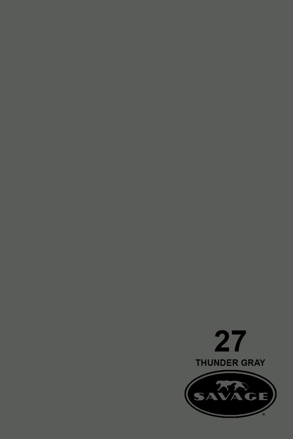 Savage Widetone Seamless Background Paper, 86" x 36'